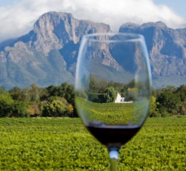 cape-winelands