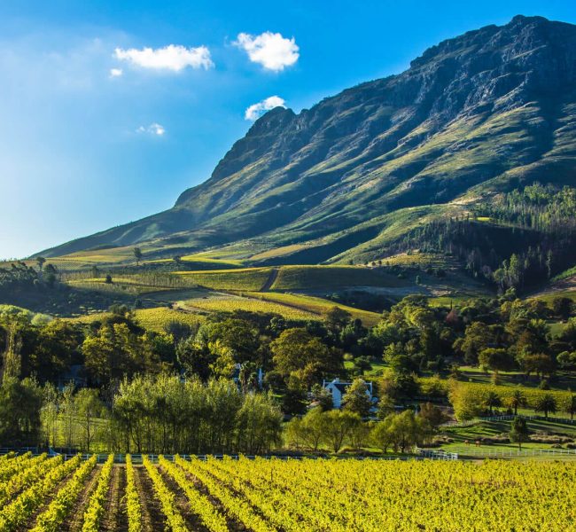cape-winelands-south-africa